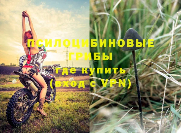 a pvp Зеленодольск