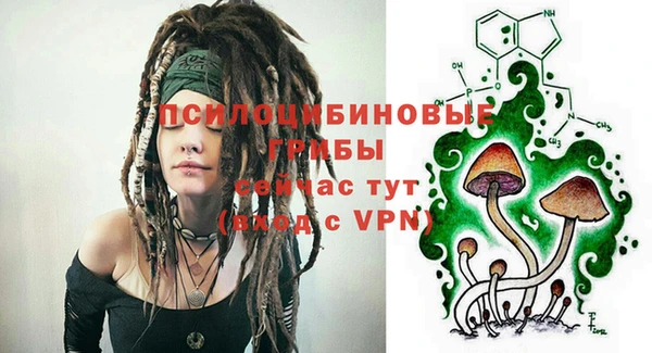 a pvp Зеленодольск