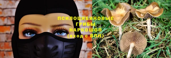a pvp Зеленодольск